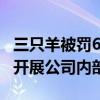 三只羊被罚6894.91万元！公司回应：将全面开展公司内部整顿