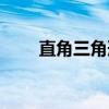 直角三角形的定义（三角形的定义）