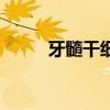 牙髓干细胞的作用（牙髓干细胞）