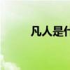 凡人是什么意思（凡是什么意思）