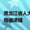 黑龙江省人大常委会原党组成员、副主任李显刚被逮捕