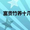 富贵竹养十几根好（富贵竹养10根才最好）
