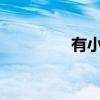 有小姓吗?（有姓小的吗）