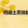 问道土系技能怎么学（问道土系怎么加点）