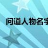 问道人物名字怎么变蓝色（问道人物名字）