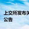 上交所发布关于股票竞价交易出现异常情况的公告