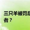 三只羊被罚后道歉遭网友质疑：谁来赔付消费者？
