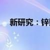 新研究：锌影响B族维生素的吸收和代谢