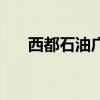 西都石油广东分公司电话（西都石油）