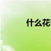 什么花春天开（什么花飘着开）