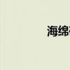 海绵砂纸图片（海绵砂纸）