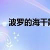 波罗的海干散货运价指数连续第二周上涨