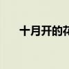 十月开的花都有什么花（都有什么花）
