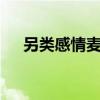 另类感情麦词大全7字（另类麦词爱情）