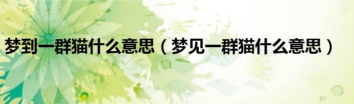 梦见一群猫啥意思（梦见一群猫好不好）