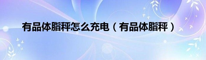 有品体脂秤充电款和电池款哪个好（有品体脂秤怎么复位）