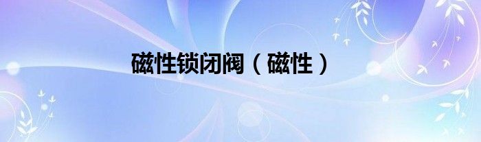 水暖磁性锁闭阀（磁性锁闭阀钥匙）