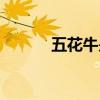 五花牛是啥（五花牛是什么牌）