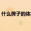 什么牌子的体脂秤好用又准确（体脂秤准吗）