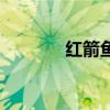 红箭鱼生小鱼前兆（红箭鱼）