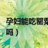 孕妇能吃罂粟苗能当菜吃吗（孕妇能吃罂粟苗吗）