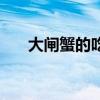 大闸蟹的吃法（大闸蟹和螃蟹的区别）