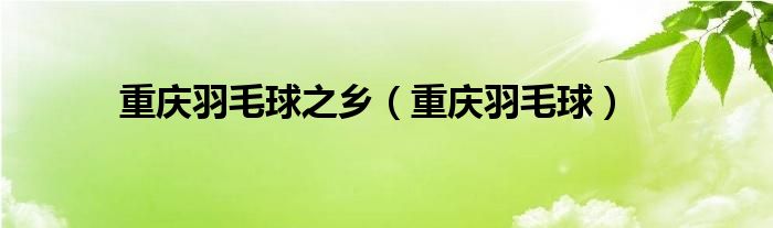 重庆羽毛球场地（重庆羽毛球馆排名）