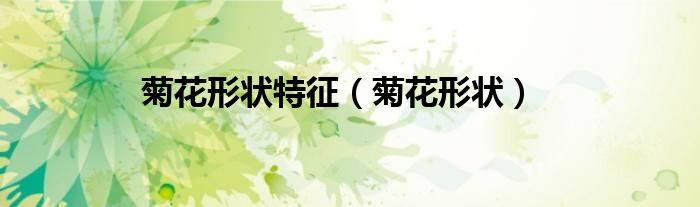 菊花形态描写的优美句子（菊花 形态）