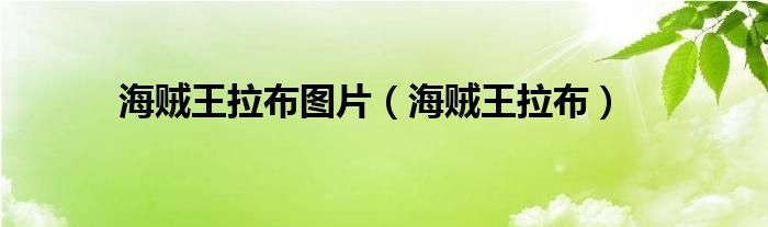 海贼王布鲁克经典台词（海贼王布鲁克和拉布的故事）