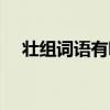 壮组词语有哪些二年级一班（壮组词语）