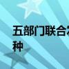 五部门联合发布公告 明确市内免税店经营品种