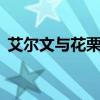 艾尔文与花栗鼠动画片（艾尔文与花栗鼠1）