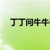 丁丁问牛牛你今年几岁答案（丁丁问路）