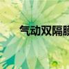 气动双隔膜泵的结构（气动双隔膜泵）