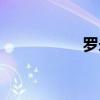 罗永焱简历（罗永焱）