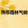热带雨林气候特点图片（热带雨林气候特点）