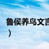 鲁侯养鸟文言文及翻译（鲁侯养鸟文言文翻译）