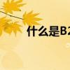 什么是B2B2C模式?（什么是b2b）