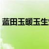 蓝田玉暖玉生烟的典故（玉暖蓝田什么意思）