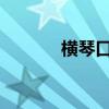 横琴口岸迎来客流车流双高峰