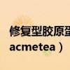 修复型胶原蛋白哪个牌子好（修复型胶原蛋白acmetea）
