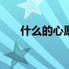 什么的心愿作文400字（什么的心愿）