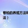 卷柏的养殖方法和注意事项 小叶卷柏怎么养（卷柏的养殖方法）
