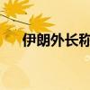 伊朗外长称将发起外交行动支持黎巴嫩