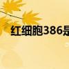 红细胞386是什么意思（386是什么意思）