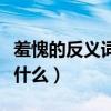 羞愧的反义词是什么三年级（羞愧的反义词是什么）