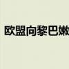 欧盟向黎巴嫩追加3000万欧元人道主义援助
