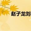 赵子龙刘德华混剪（赵子龙刘德华）