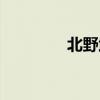 北野武著作（北野武作品）