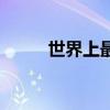 世界上最小的动物（最小的动物）